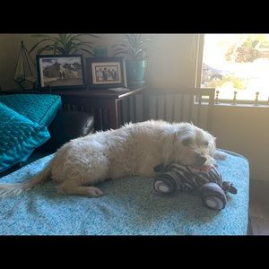 Meet your Posher, Heather